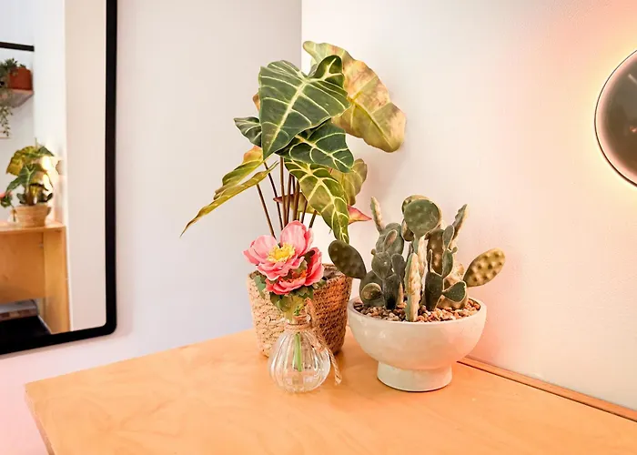 De Pijp Szálloda 3*