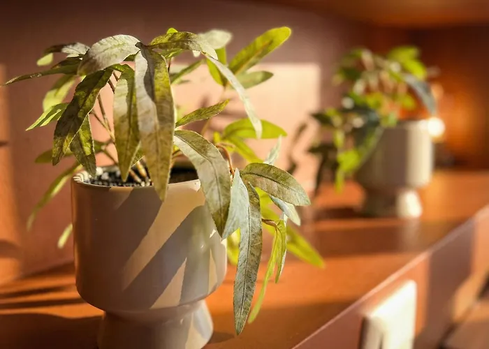 Hotel De Pijp Boutique